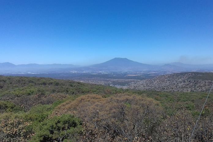 Ven abandono de la biodiversidad en primer año de Lemus Ven abandono de la biodiversidad en primer año de Lemus