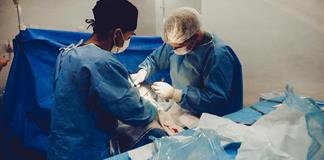 Investigadores logran seguimiento de dos meses en trasplante de riñón porcino modificado Investigadores logran seguimiento de dos meses en trasplante de riñón porcino modificado