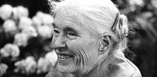 Publican cartas de amor inéditas de escritora alemana Anna Seghers Publican cartas de amor inéditas de escritora alemana Anna Seghers