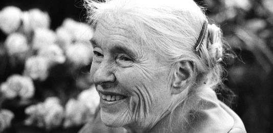 Publican cartas de amor inéditas de escritora alemana Anna Seghers