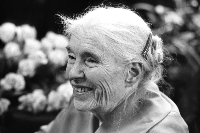 Publican cartas de amor inéditas de escritora alemana Anna Seghers Publican cartas de amor inéditas de escritora alemana Anna Seghers