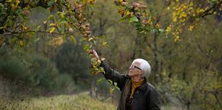 Una agrónoma italiana busca salvar las frutas antiguas frente al cambio climático Una agrónoma italiana busca salvar las frutas antiguas frente al cambio climático