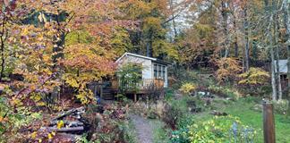 Suecia apuesta por el silencio de sus bosques como antídoto al ruido del mundo