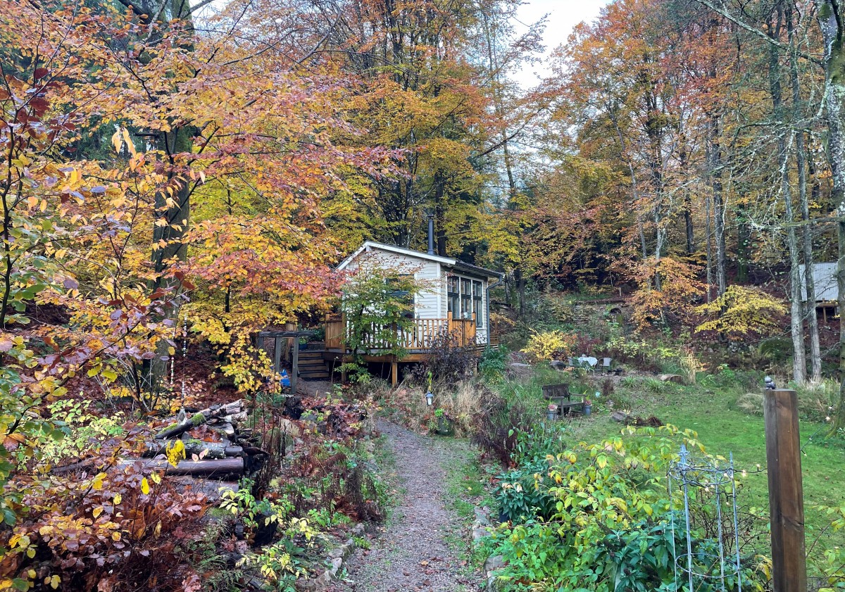 Suecia apuesta por el silencio de sus bosques como antídoto al ruido del mundo