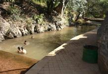 Declara Comisión legislativa de Medio Ambiente al parque Taretan como Área Protegida Declara Comisión legislativa de Medio Ambiente al parque Taretan como Área Protegida