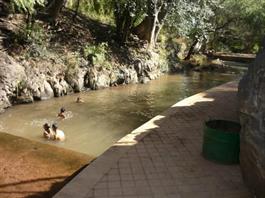 Declara Comisión legislativa de Medio Ambiente al parque Taretan como Área Protegida Declara Comisión legislativa de Medio Ambiente al parque Taretan como Área Protegida