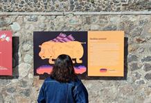 Inauguran “Seres (im)posibles” la primera exposición de la galería al aire libre del CUTlaquepaque Inauguran “Seres (im)posibles” la primera exposición de la galería al aire libre del CUTlaquepaque