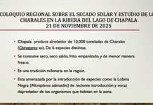 Chapala apuesta por innovación y tradición para conservar el charal y su economía local