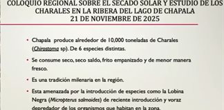 Chapala apuesta por innovación y tradición para conservar el charal y su economía local Chapala apuesta por innovación y tradición para conservar el charal y su economía local