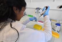 Científicos franceses investigan el potencial del ARN mensajero contra el cáncer Científicos franceses investigan el potencial del ARN mensajero contra el cáncer