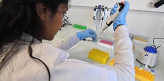 Científicos franceses investigan el potencial del ARN mensajero contra el cáncer