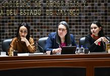 Diputados reprueban el trabajo de la nueva Secretaría de Búsqueda de Personas Diputados reprueban el trabajo de la nueva Secretaría de Búsqueda de Personas