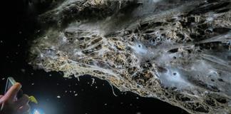 Descubren una telaraña gigante con 111.000 arañas en una gruta de Grecia Descubren una telaraña gigante con 111.000 arañas en una gruta de Grecia