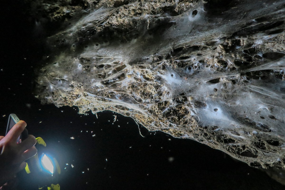 Descubren una telaraña gigante con 111.000 arañas en una gruta de Grecia