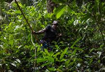 Los últimos cazadores-recolectores de Tailandia reclaman derecho a la tierra