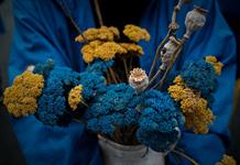 Trump asegura que acuerdo de paz entre Ucrania y Rusia está cerca Trump asegura que acuerdo de paz entre Ucrania y Rusia está cerca