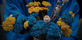 Trump asegura que acuerdo de paz entre Ucrania y Rusia está cerca