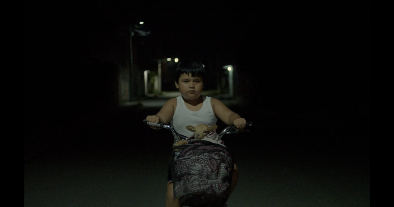 ‘Monstruo de Xibalba’, la muerte desde la mirada infantil llegará a cines de México en diciembre ‘Monstruo de Xibalba’, la muerte desde la mirada infantil llegará a cines de México en diciembre