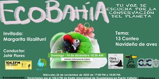 Ecobahía - 26 de Noviembre del 2025 Ecobahía - 26 de Noviembre del 2025