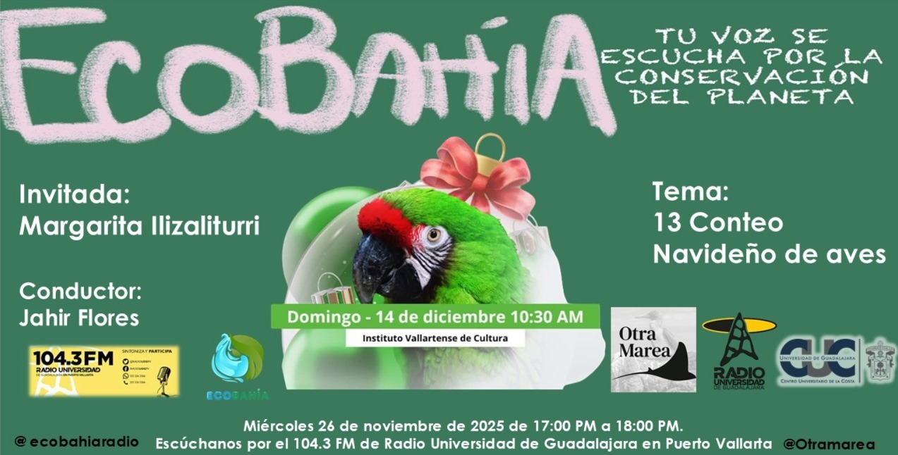 Ecobahía - 26 de Noviembre del 2025