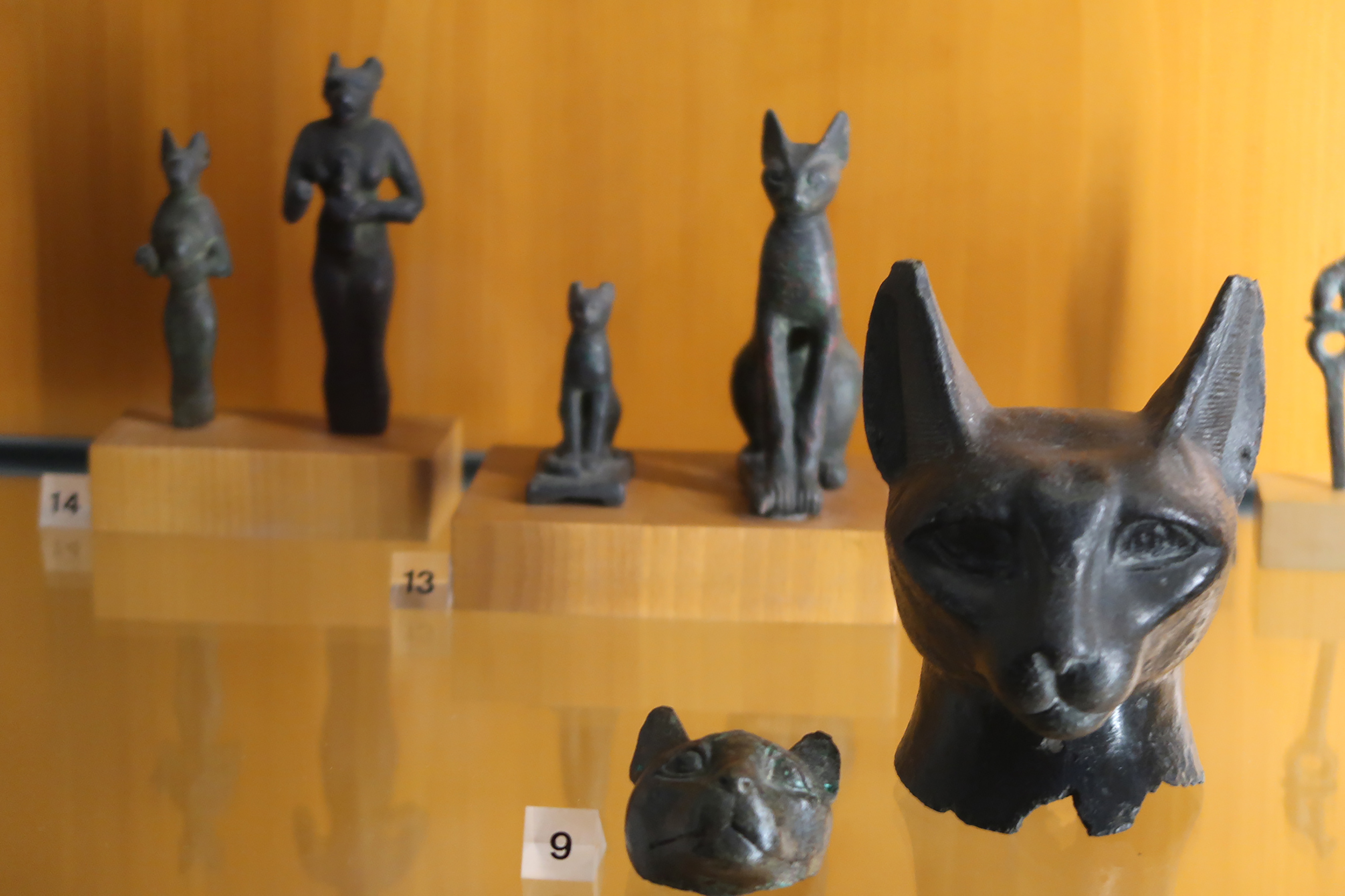 El gato doméstico llegó a Europa miles de años más tarde de lo que se pensaba El gato doméstico llegó a Europa miles de años más tarde de lo que se pensaba