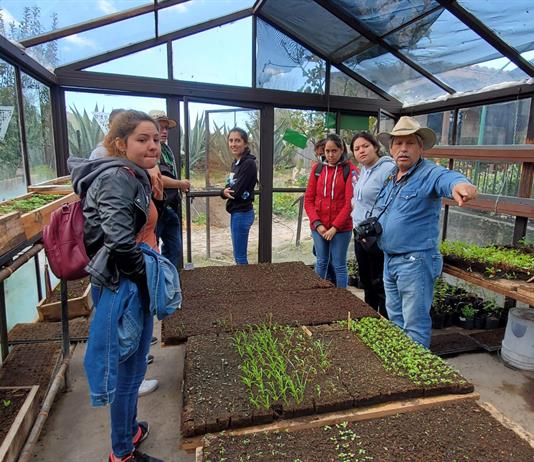 El compostaje como raíz de la educación ambiental en El Grullo