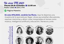 Pagina Maestra - Vi. 28 Nov 2025