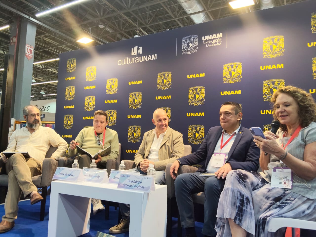 Si tú también ves arte hasta en las piedras sigue la obra de Alan de Rosenzweig