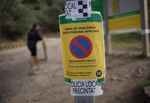 España promete limitar al máximo el impacto de un foco de peste porcina africana