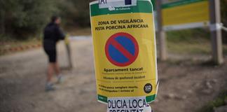 España promete limitar al máximo el impacto de un foco de peste porcina africana