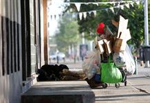 Albergue permanente en Zapotlán el Grande abrirá sus puertas en diciembre