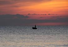 Familia de pescador colombiano muerto en bombardeo denuncia a EEUU ante CIDH