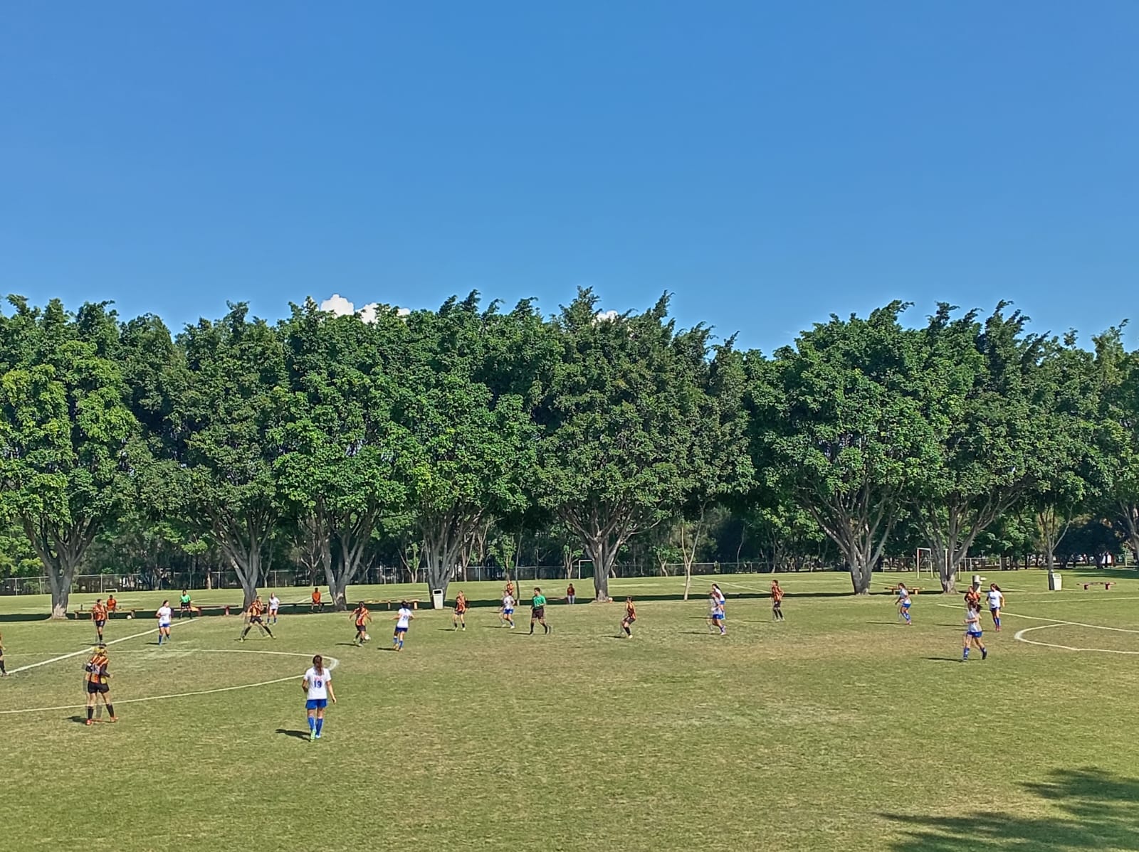 Leonas Negras superan expectativas: más de 70 jóvenes buscan un lugar para 2026