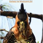 Guía de aves de la reserva de la biósfera sierra de Manantlán - El Expresso de las 10 - Vi. 05 Diciembre 2025