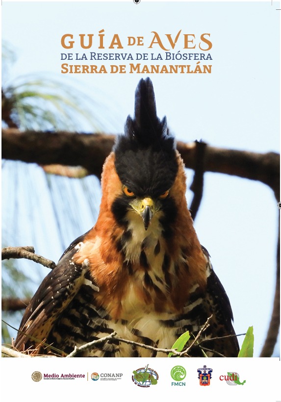 Guía de aves de la reserva de la biósfera sierra de Manantlán - El Expresso de las 10 - Vi. 05 Diciembre 2025 Guía de aves de la reserva de la biósfera sierra de Manantlán - El Expresso de las 10 - Vi. 05 Diciembre 2025