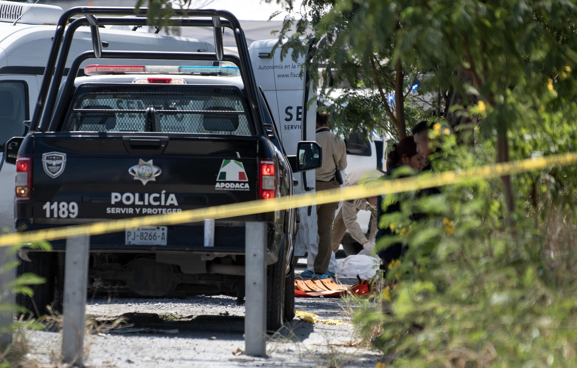 ONG alerta por el asesinato de 336 policías en México durante 2025, uno al día en promedio