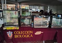 Exponen la colección biológica itinerante “Mi historia es natural” en la explanada de la Rectoría de UdeG Exponen la colección biológica itinerante “Mi historia es natural” en la explanada de la Rectoría de UdeG