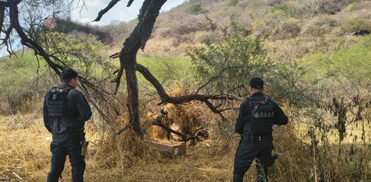 Hallan en brecha armas robadas a la Policía de Techaluta