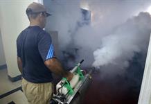 Claves de la epidemia de chikunguña y dengue: causas, casos y síntomas