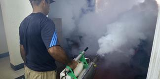 Claves de la epidemia de chikunguña y dengue: causas, casos y síntomas Claves de la epidemia de chikunguña y dengue: causas, casos y síntomas