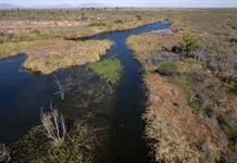 Gobierno de México responde a amenaza de Trump sobre aranceles por agua Gobierno de México responde a amenaza de Trump sobre aranceles por agua