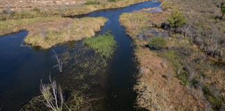 Gobierno de México responde a amenaza de Trump sobre aranceles por agua Gobierno de México responde a amenaza de Trump sobre aranceles por agua