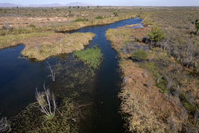 Gobierno de México responde a amenaza de Trump sobre aranceles por agua Gobierno de México responde a amenaza de Trump sobre aranceles por agua