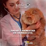 Salud y Bienestar de tu mascota - El Expresso de las 10 - Mi. 10 Diciembre 2025