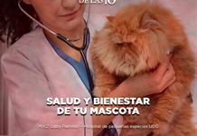 Salud y Bienestar de tu mascota - El Expresso de las 10 - Mi. 10 Diciembre 2025 Salud y Bienestar de tu mascota - El Expresso de las 10 - Mi. 10 Diciembre 2025