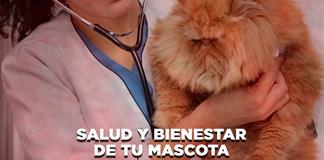 Salud y Bienestar de tu mascota - El Expresso de las 10 - Mi. 10 Diciembre 2025 Salud y Bienestar de tu mascota - El Expresso de las 10 - Mi. 10 Diciembre 2025