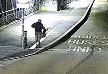 Robo de más de 600 objetos culturales afecta colección histórica en Bristol Robo de más de 600 objetos culturales afecta colección histórica en Bristol