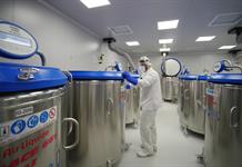 La expansión global de fiebre aftosa exige fortalecer los bancos de antígenos y vacunas La expansión global de fiebre aftosa exige fortalecer los bancos de antígenos y vacunas