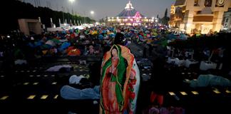 Mundo Patitas rescata perros peregrinos abandonados en Ciudad de México