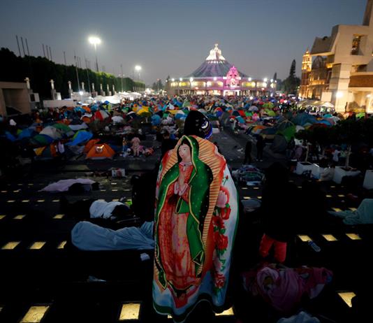 Mundo Patitas rescata perros peregrinos abandonados en Ciudad de México Mundo Patitas rescata perros peregrinos abandonados en Ciudad de México